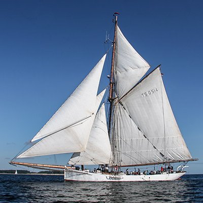 Einmastsegelschiff mit weißen Rumpf